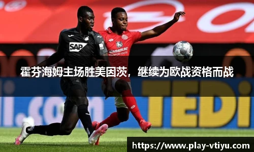 霍芬海姆主场胜美因茨，继续为欧战资格而战